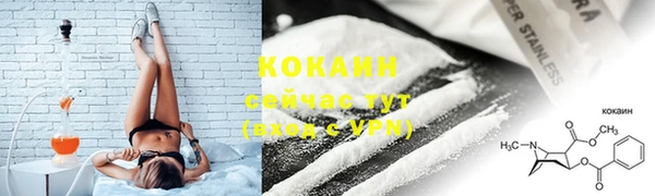 прущие грибы Нязепетровск