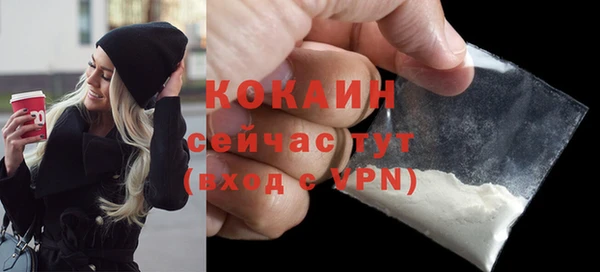 гидра Абаза