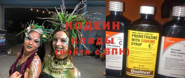гидра Абаза