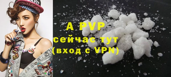 гидра Абаза