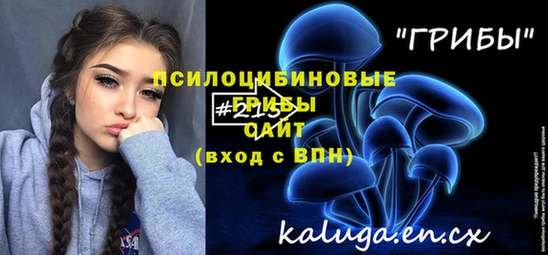 гидра Абаза